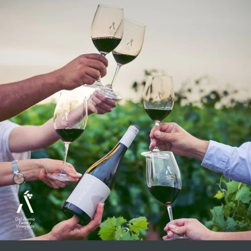 Del Álamo Family Vineyards